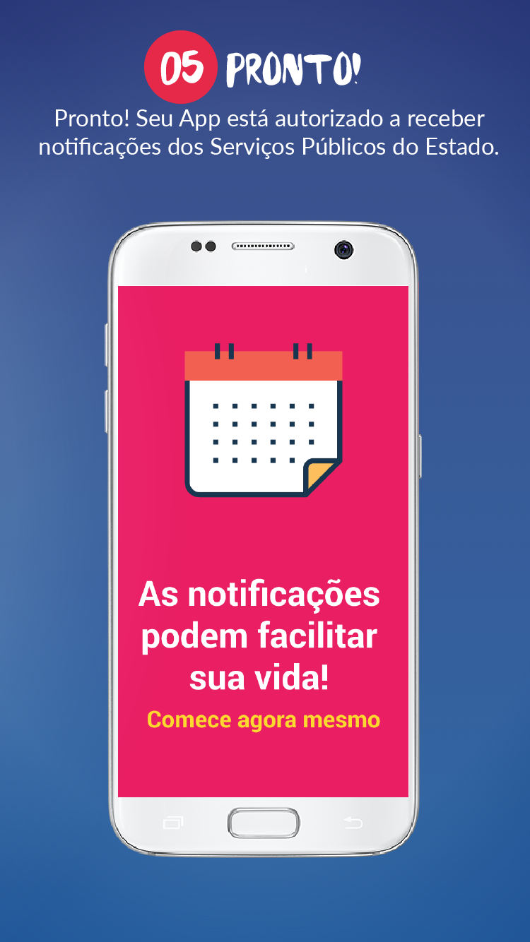 Primeiros Passos
